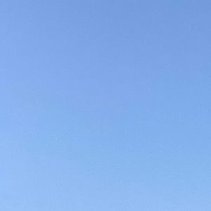 Meet your Posher, Sebastin